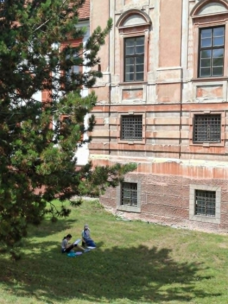23.jfif