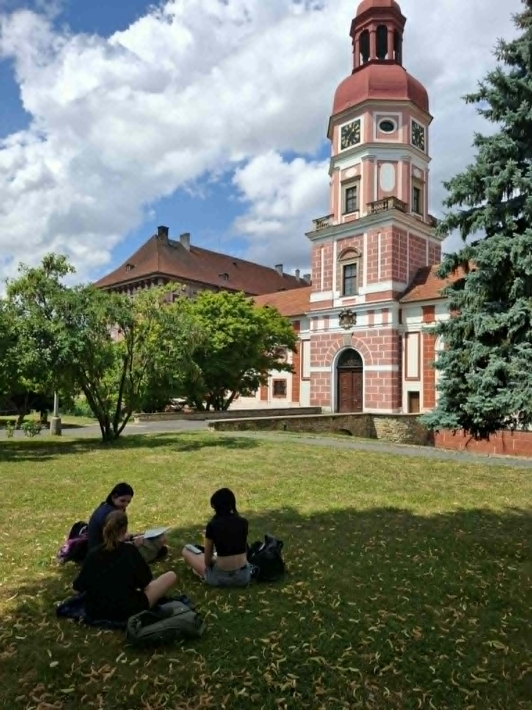 21.jfif