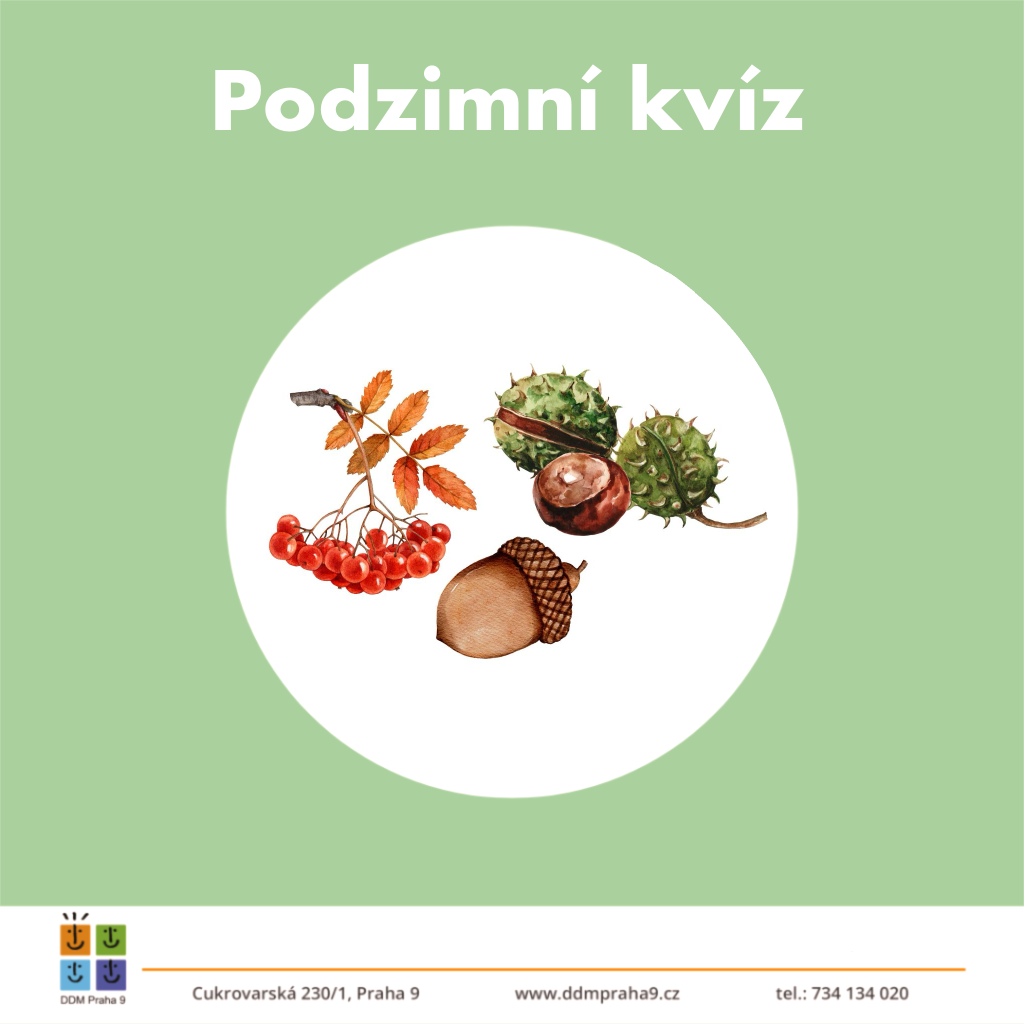 Podzimní kvíz