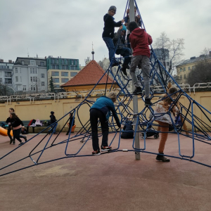 IMG20220317115223.jpg