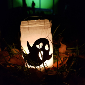 20221030_175222.jpg