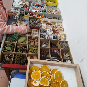 IMG20221125154624.jpg