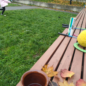 IMG20221026153734.jpg