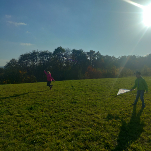 IMG20221027152945.jpg