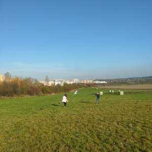 IMG20221027153556.jpg