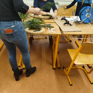 IMG20231201160936.jpg
