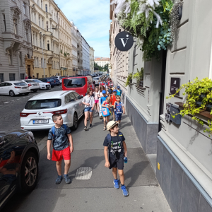 IMG_20250704_094752.jpg