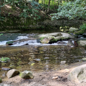 P_20240827_113229.jpg