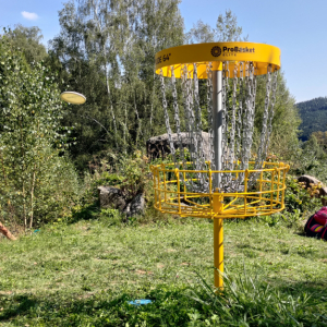 P_20240827_144755.jpg