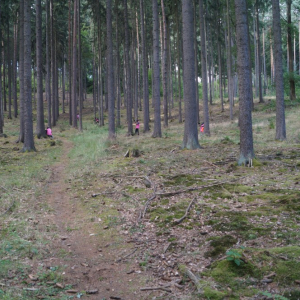 DSC00866.jpg