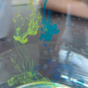 20220726_102717.jpg