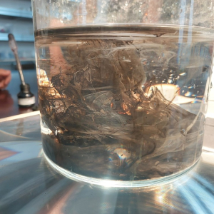 20220726_105302.jpg